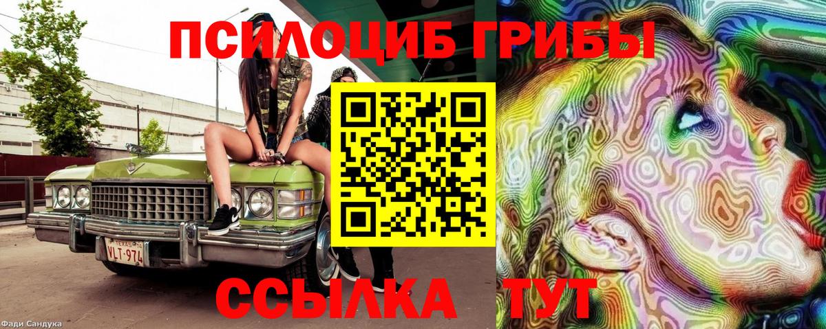 Галлюциногенные грибы мухоморы Тында